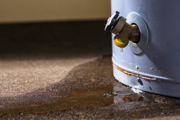 Best Water damage restoration near me  in Brownfield, TX