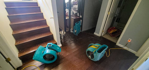Best Water damage restoration insurance claims  in Brownfield, TX